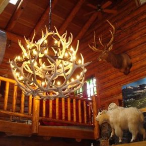 kroonluchter light luster