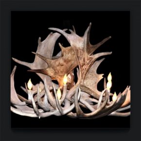 Kroonluchter Damhert geweien 2021117